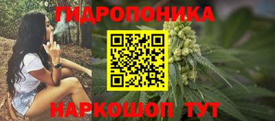 ПСИЛОЦИБИНОВЫЕ ГРИБЫ Гусь-Хрустальный