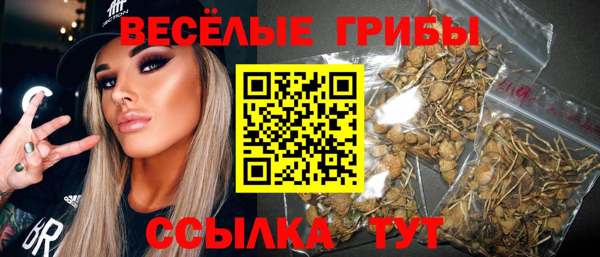 Псилоцибиновые грибы прущие грибы Кузнецк